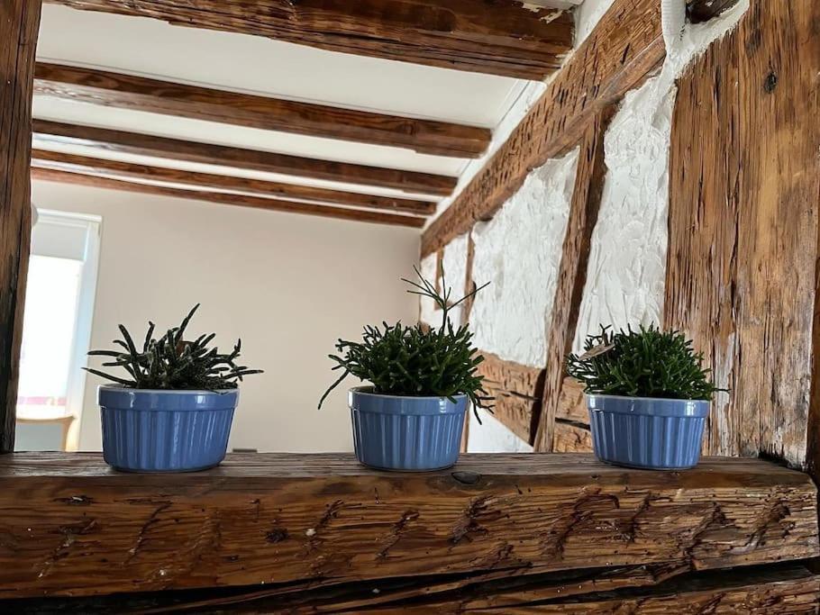 Nouvel Appartement, Le Colombage Heureux Selestat Exterior photo
